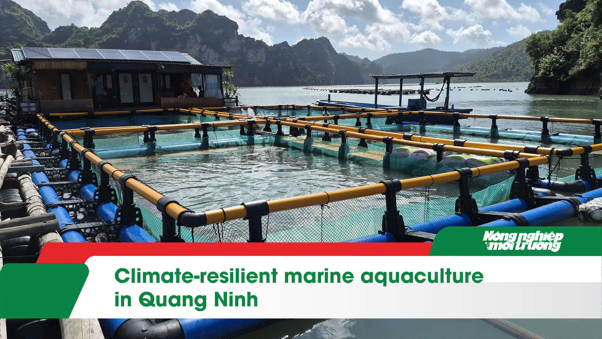 Climate-resilient marine aquaculture in Quang Ninh